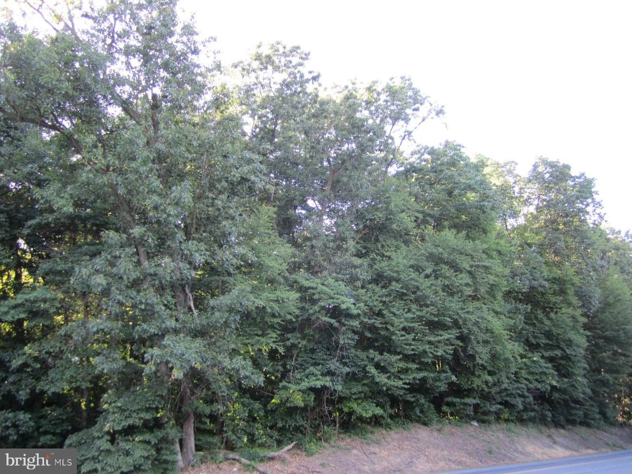 0 Ws Lebanon Road - Photo 1