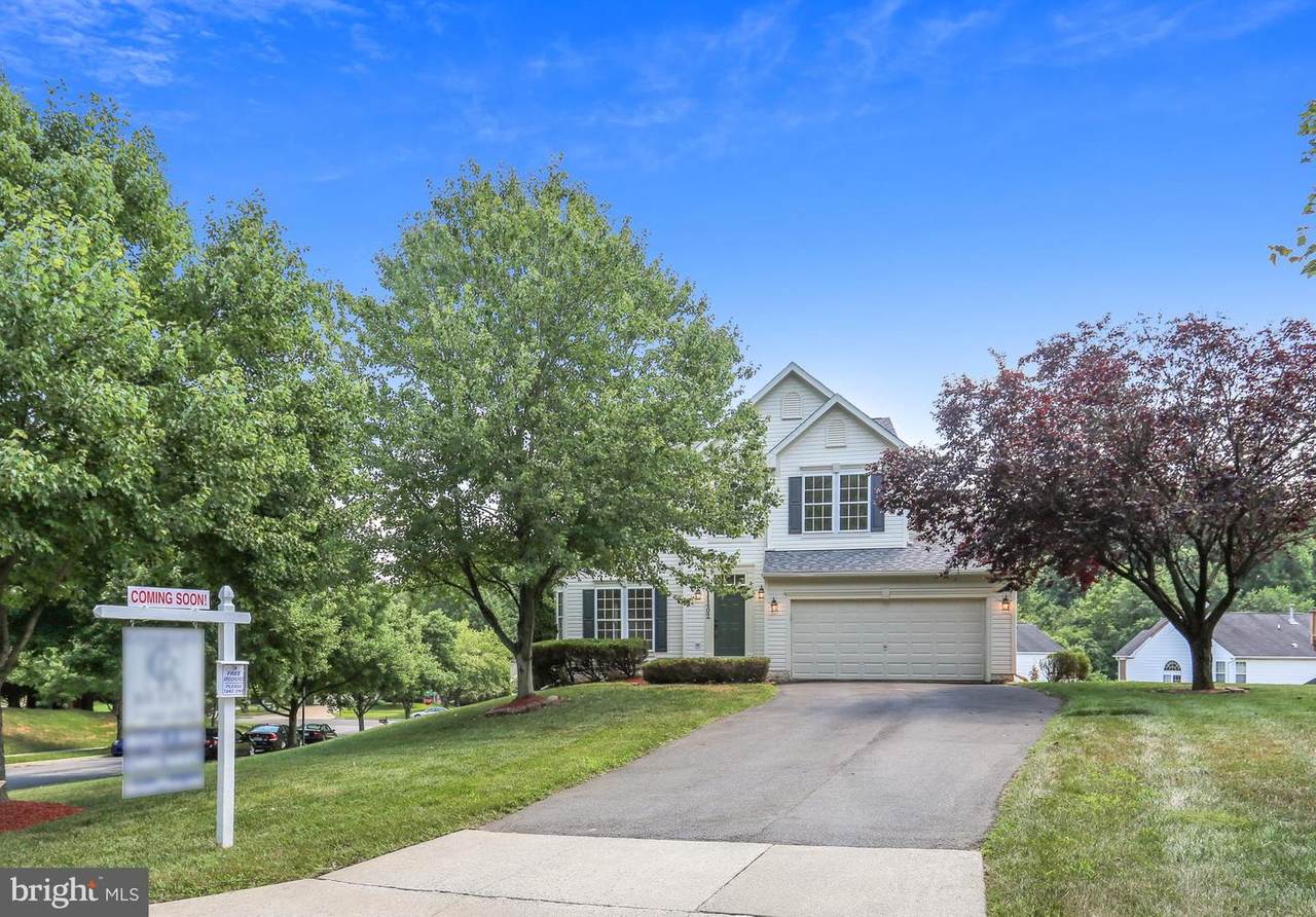 11402 Palace Circle - Photo 1