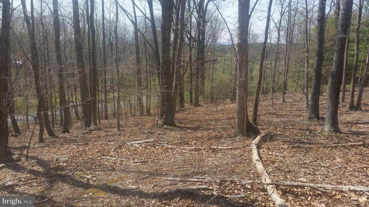 Chimney Oaks Court - Photo 1