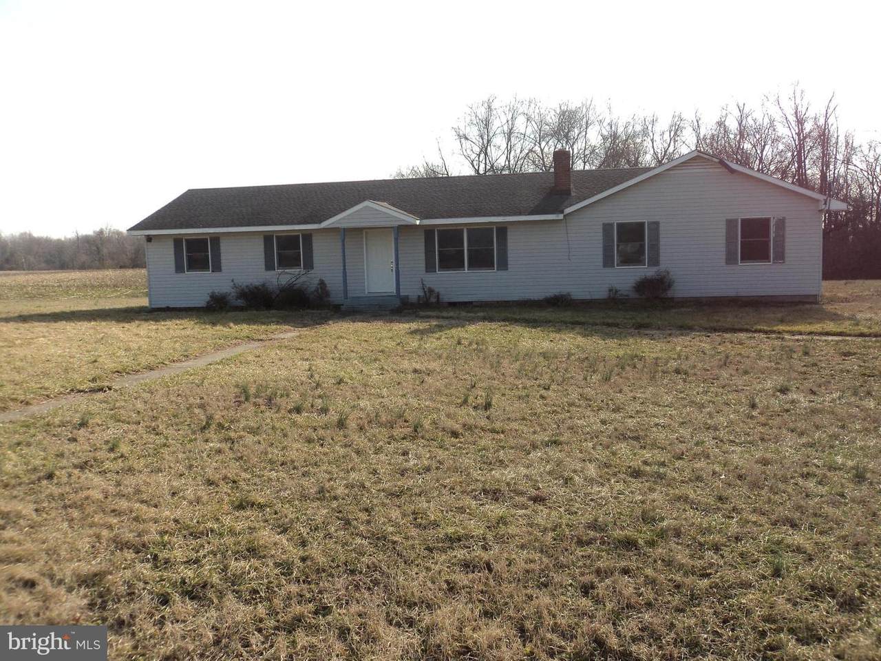 31585 Tappers Corner Road - Photo 1