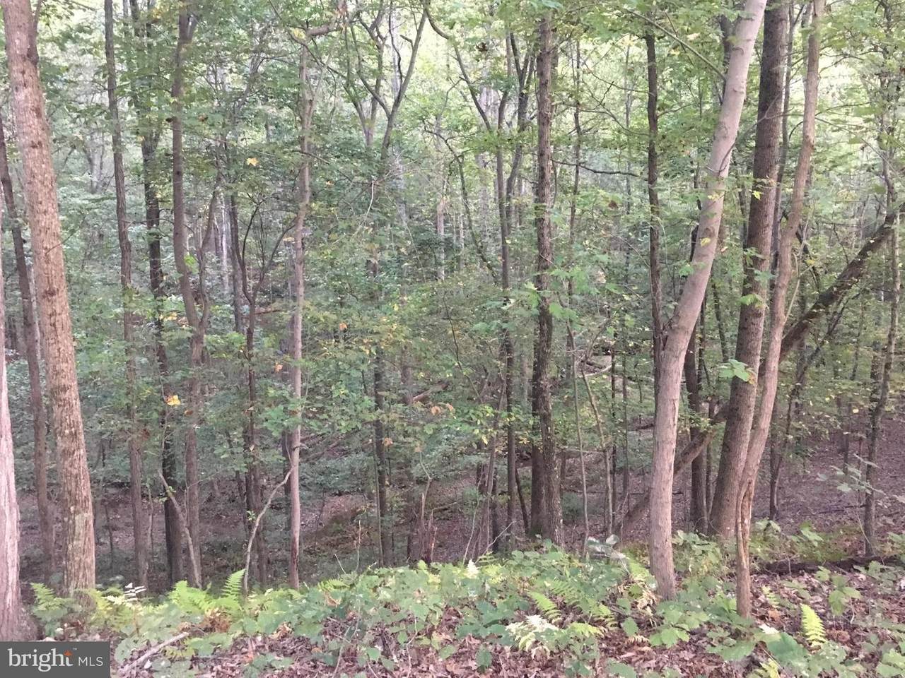 Lot # 50 Wilda Drive - Photo 1