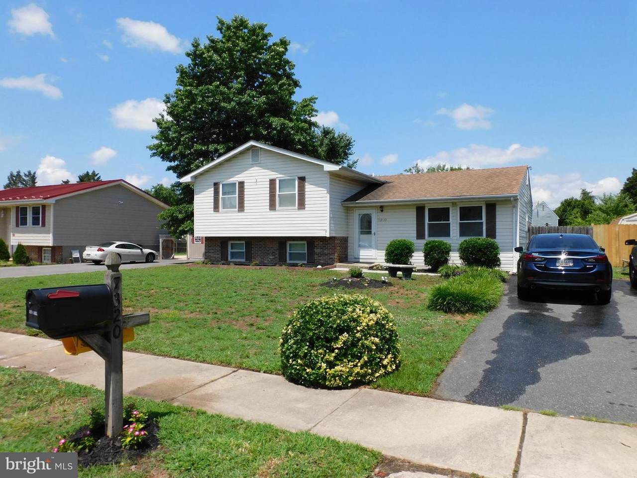 7320 Shirley Drive - Photo 1