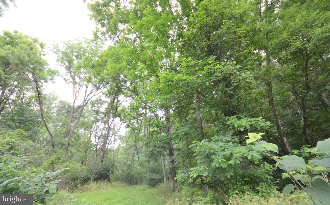 South River Terrace - Photo 1