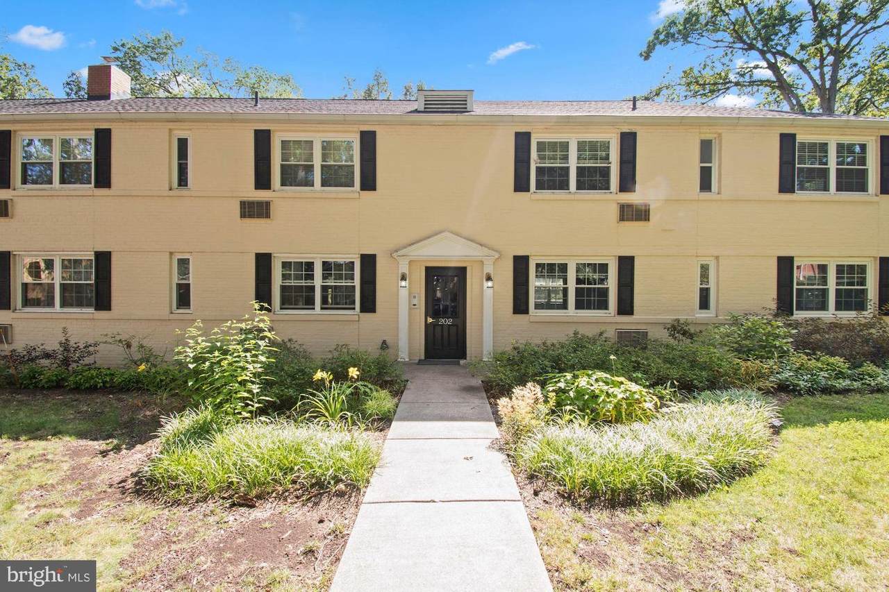 202 Trenton Street - Photo 1