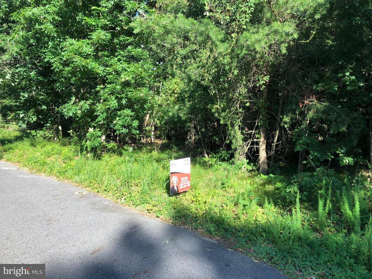 3 Good Intent Road - Photo 1