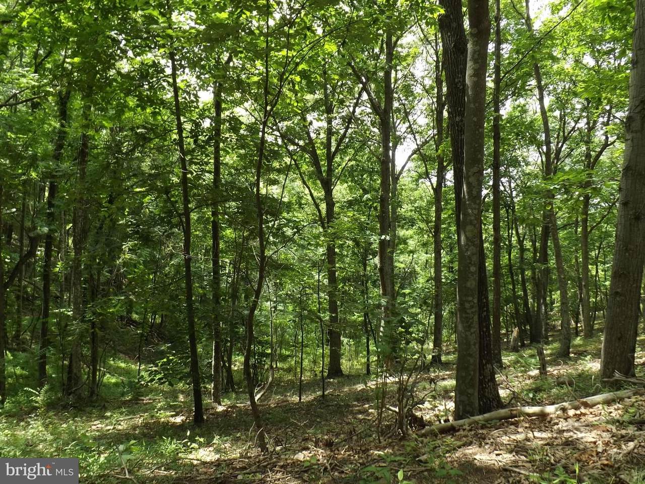 107 West End Drive - Photo 1