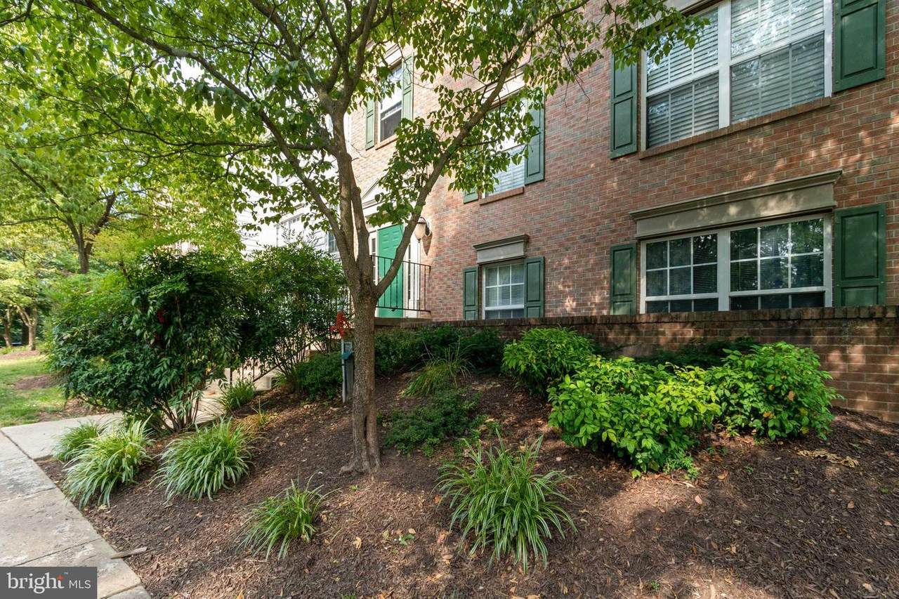 12114 Green Leaf Court - Photo 1