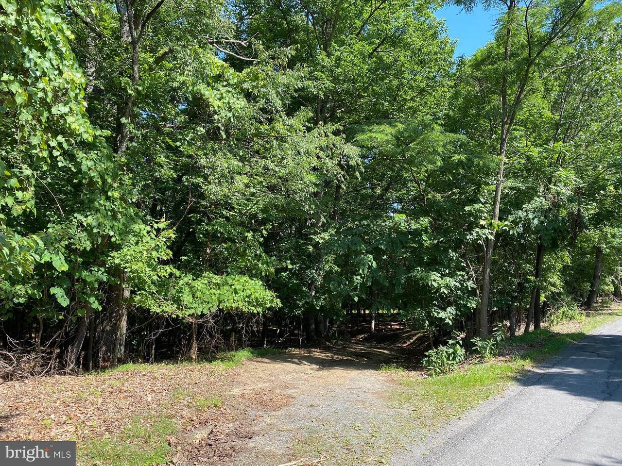 Timber Ridge Road - Photo 1