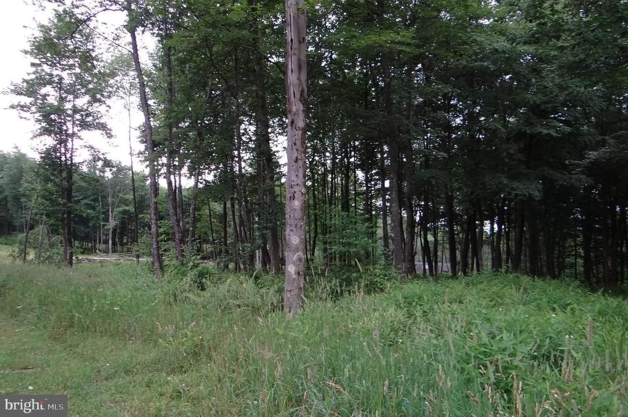 Lot 121 Fair Way - Photo 1