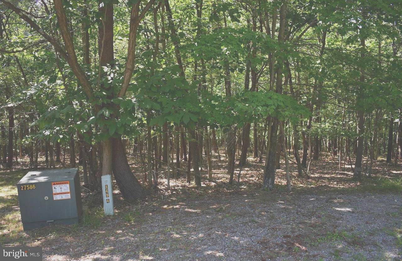 Clear Spring Lane - Photo 1