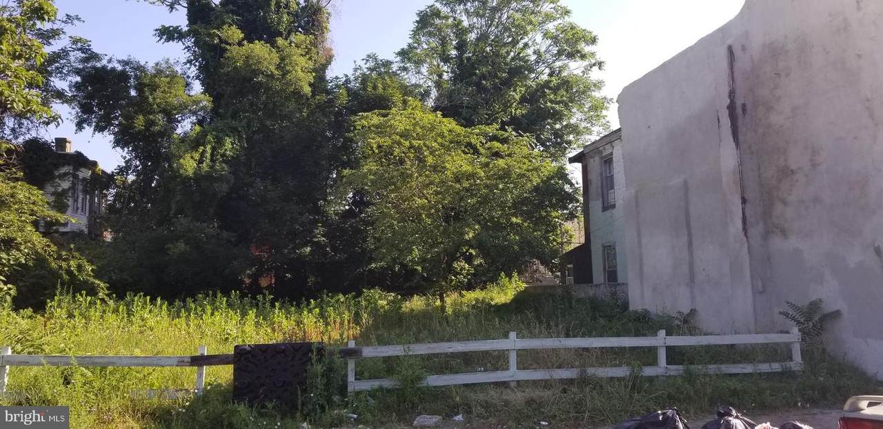 817-23 Cumberland Street - Photo 1