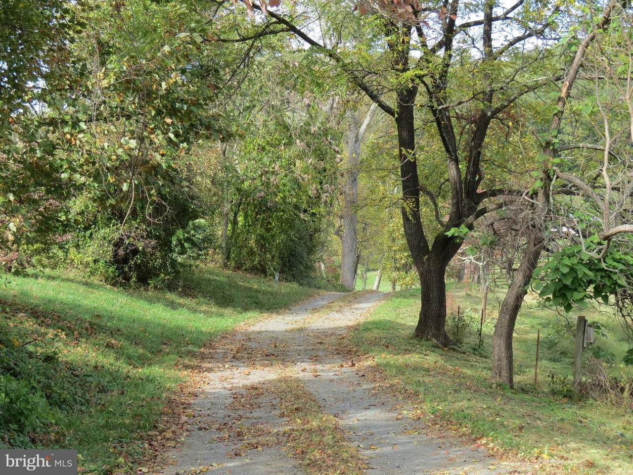 0 Jobbers Mountain Road - Photo 1