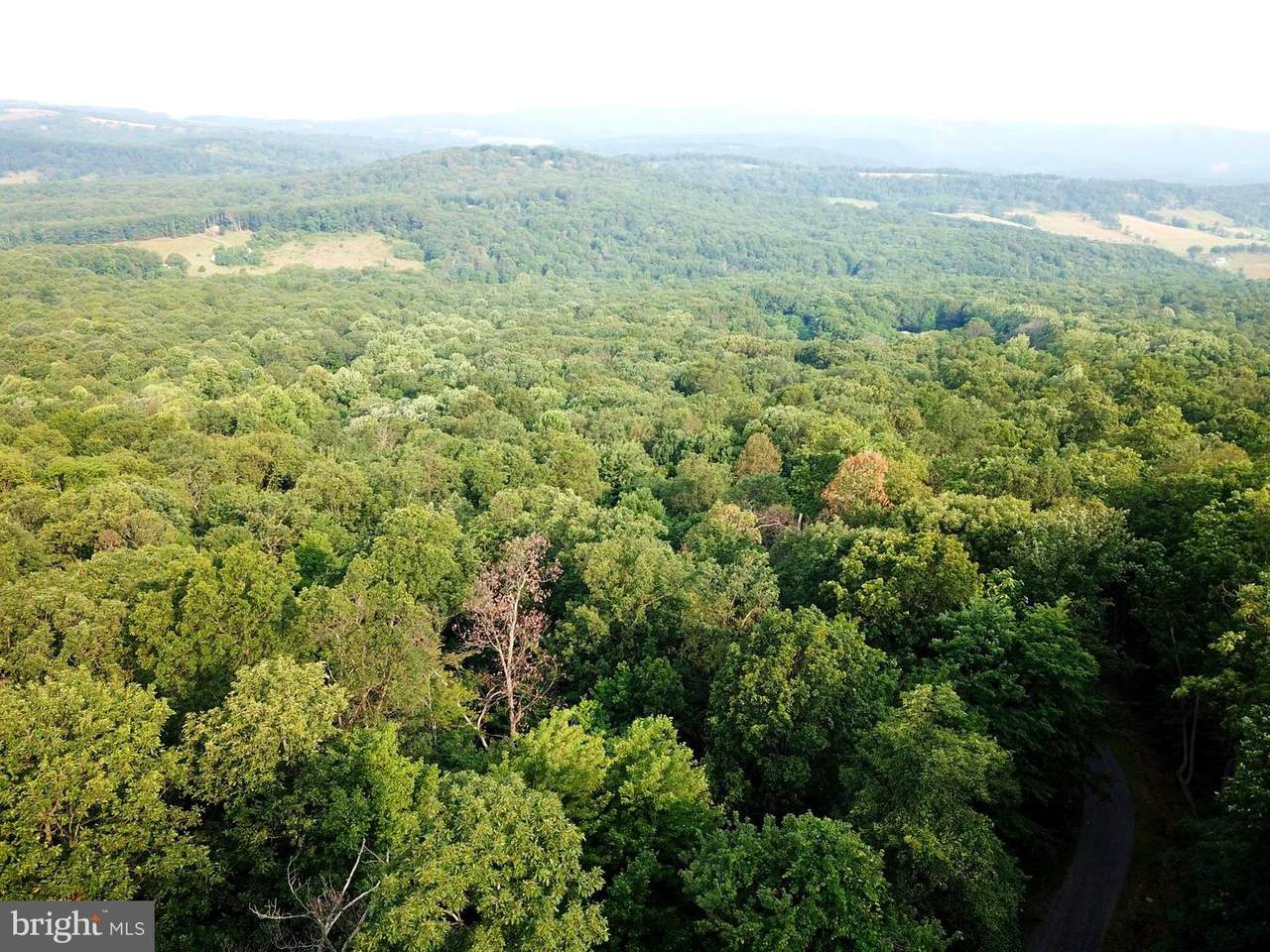 Lot 50 Old Poplar Drive - Photo 1