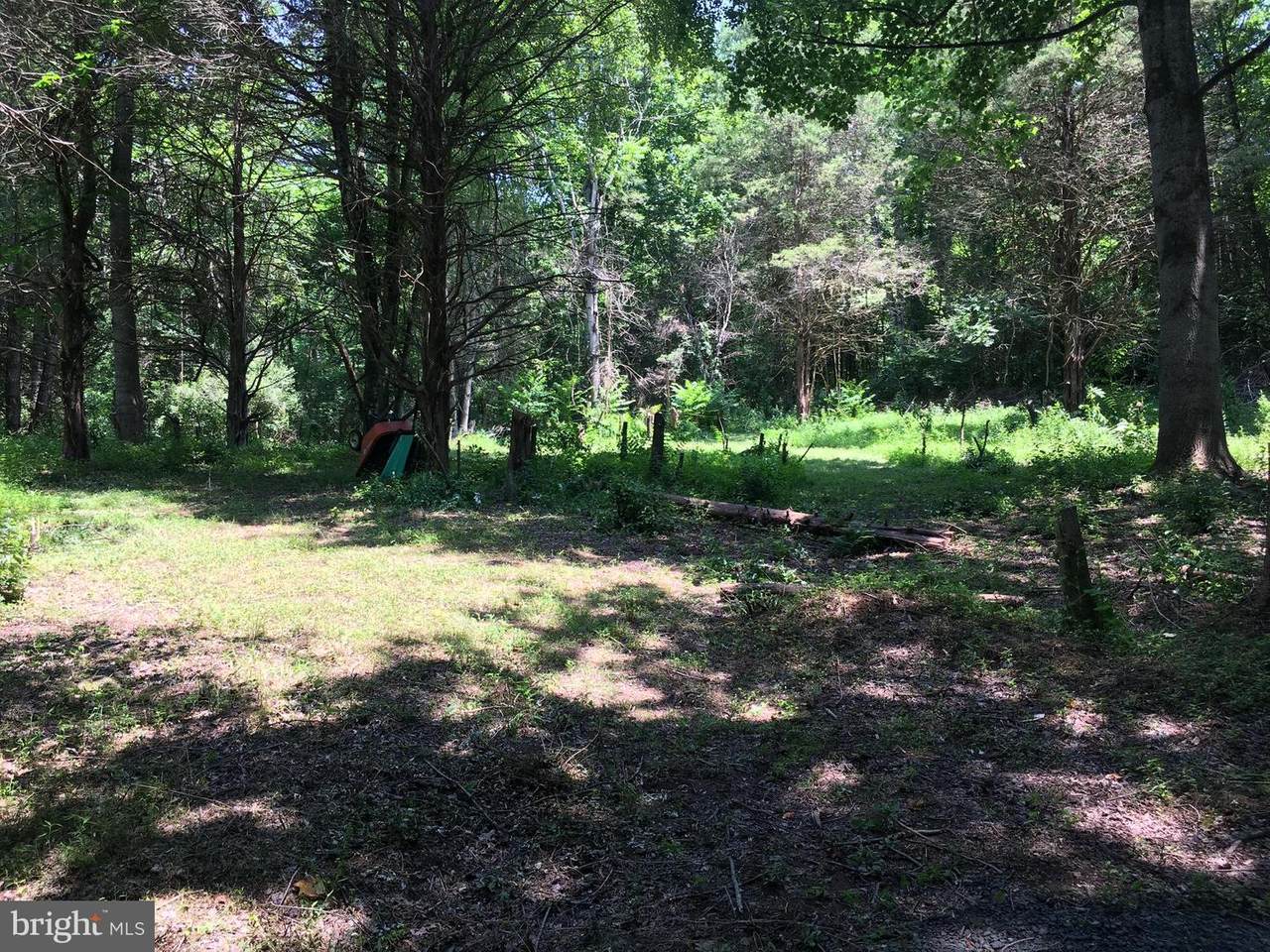 Dodson Road - Photo 1