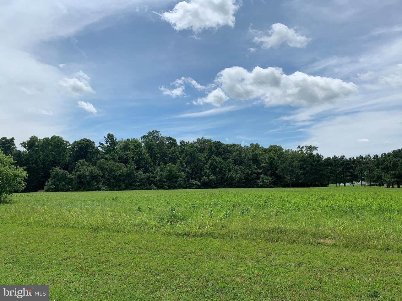 Lot 40 Wellington Drive - Photo 1