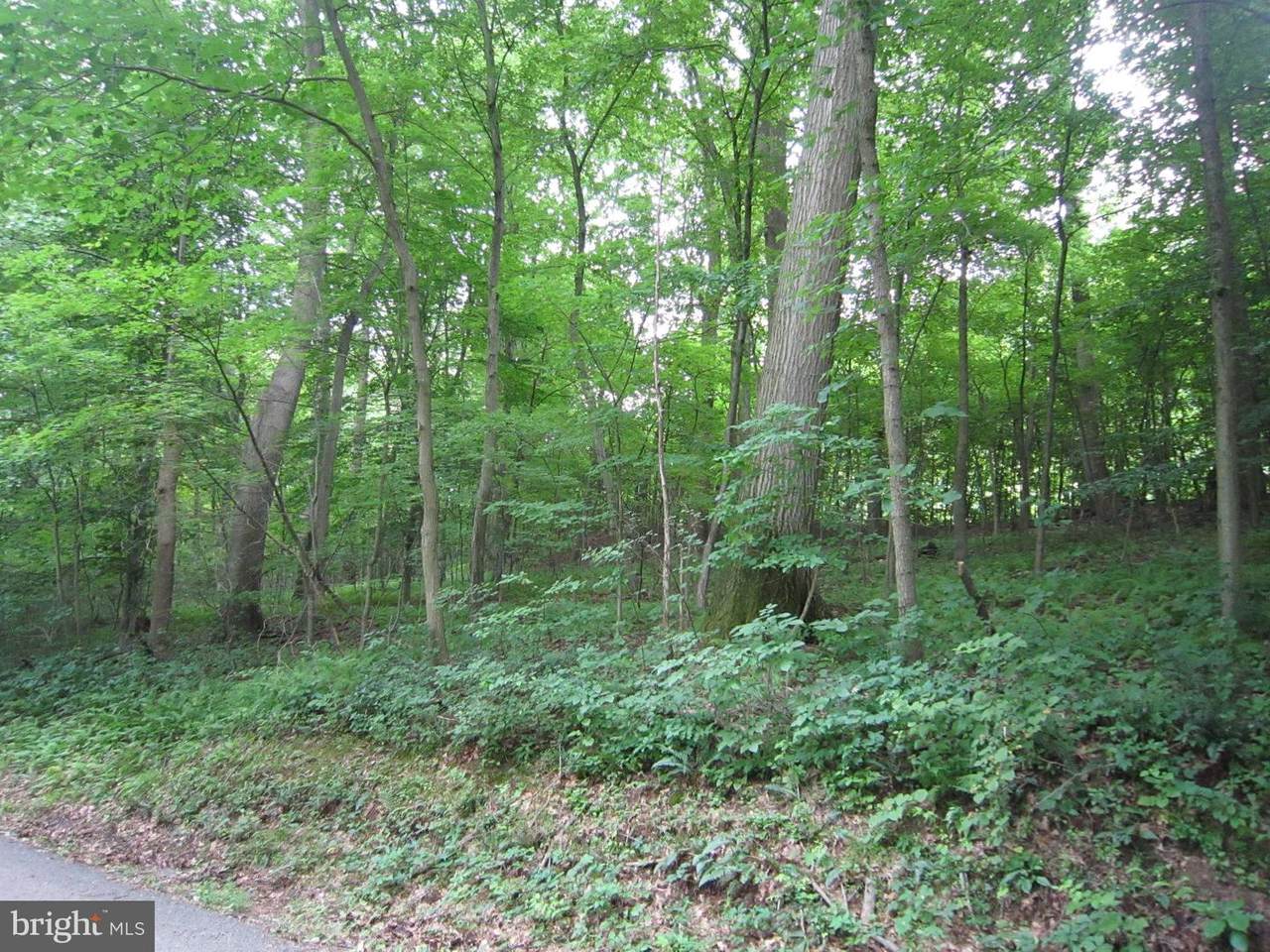 Colemanville Church Road - Photo 1