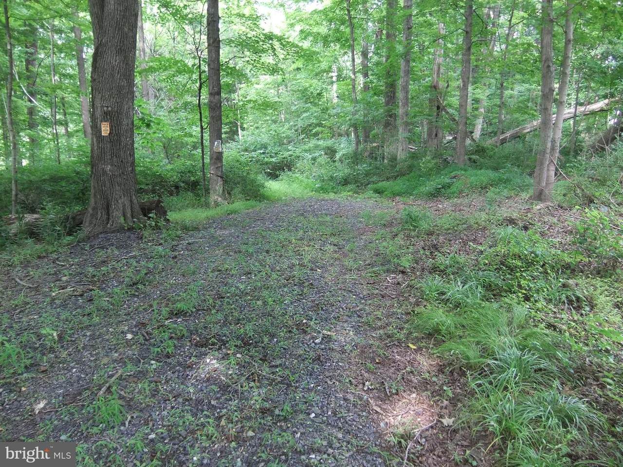 2401 Butter Creek Road - Photo 1