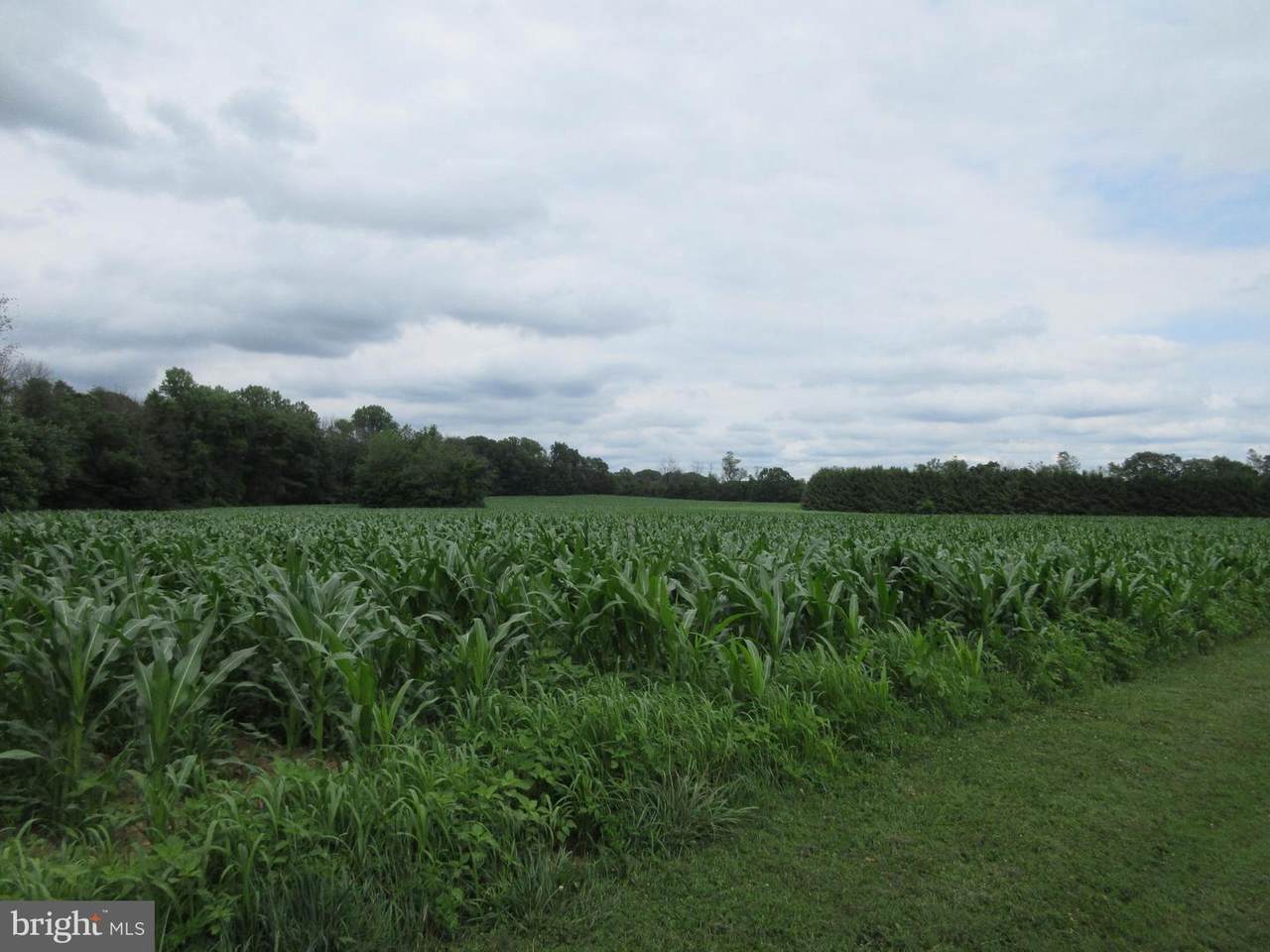 0 Huff Church - Photo 1
