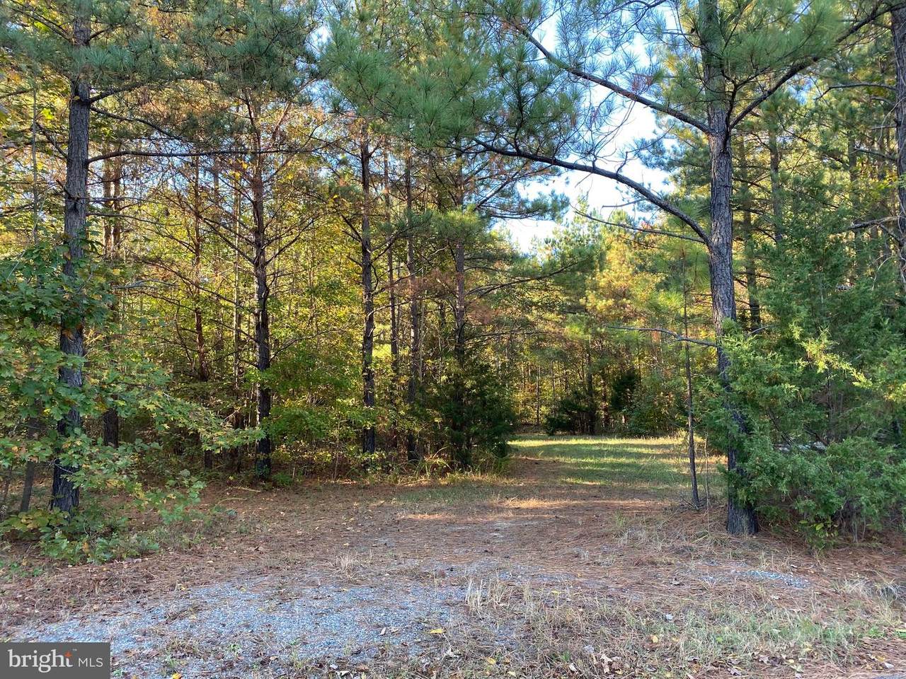 0 Sorrell Lane - Photo 1