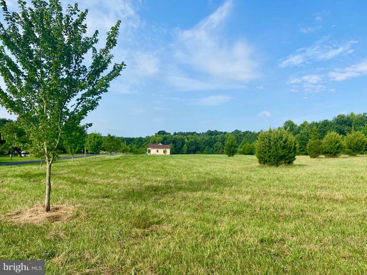Piney Neck Road - Photo 1