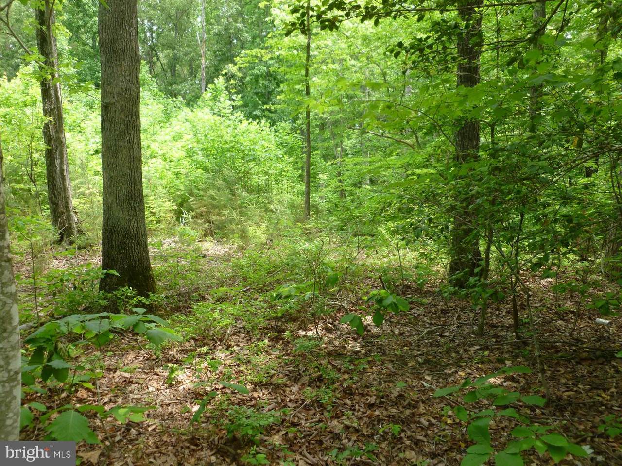 0 Rogers Ford Road - Photo 1