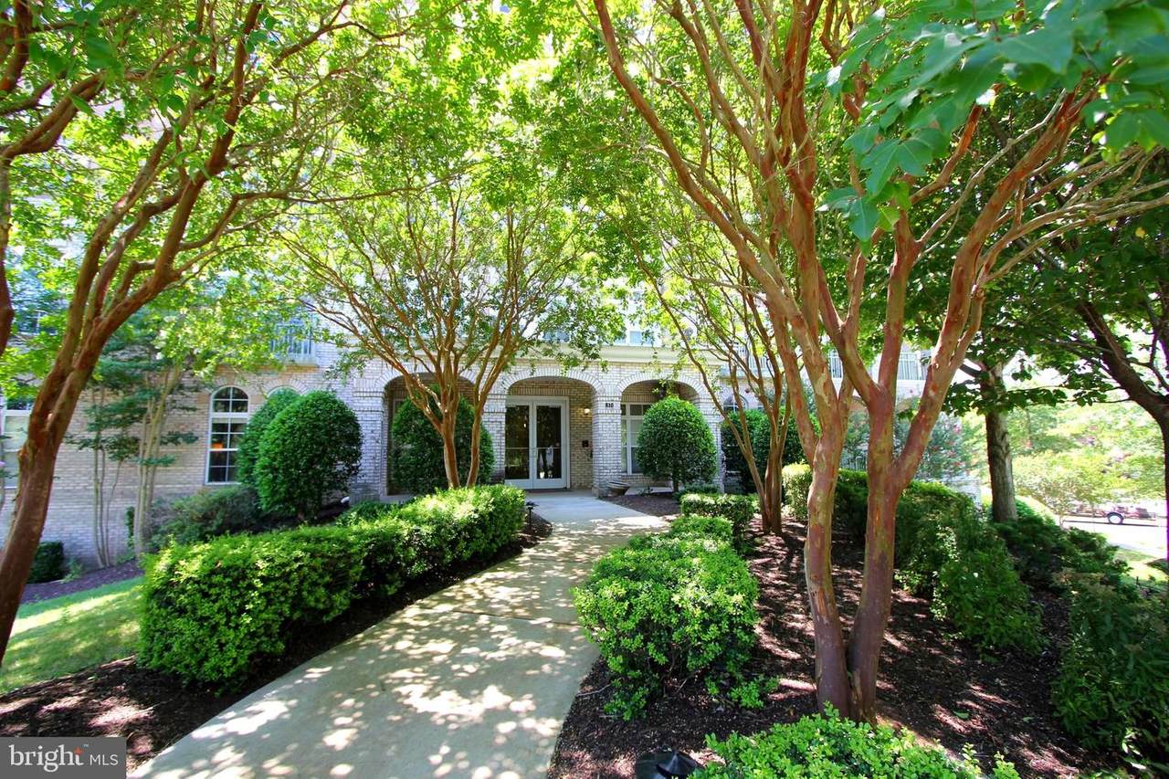 810 Belmont Bay Drive - Photo 1
