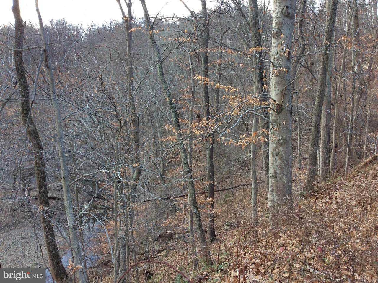 6772 Hemlock Point Road - Photo 1