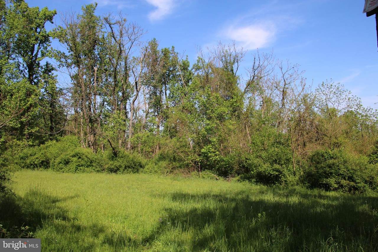 Mountain Orchard Lane - Photo 1