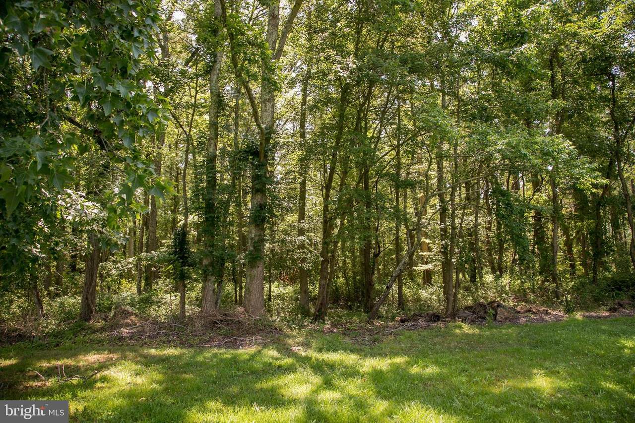 Mount Vernon Road - Photo 1