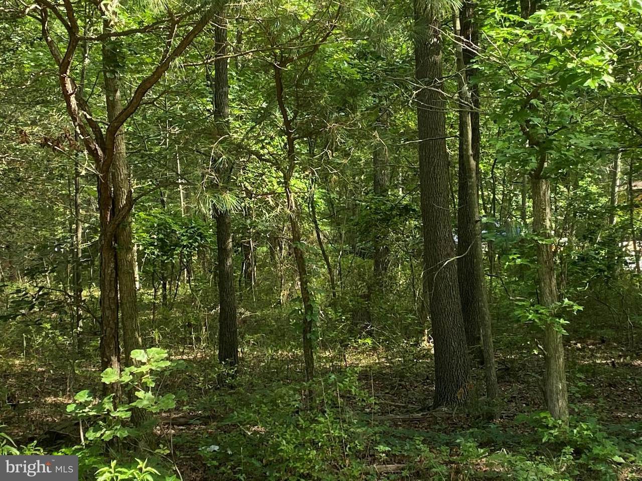 #12 Goose Nest Road - Photo 1