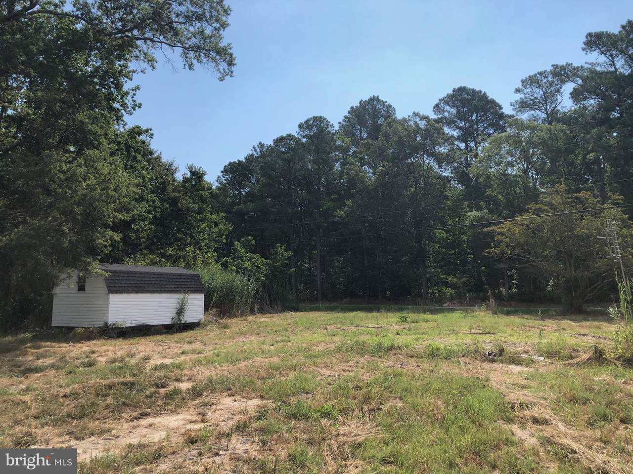 10318 Champ Road - Photo 1
