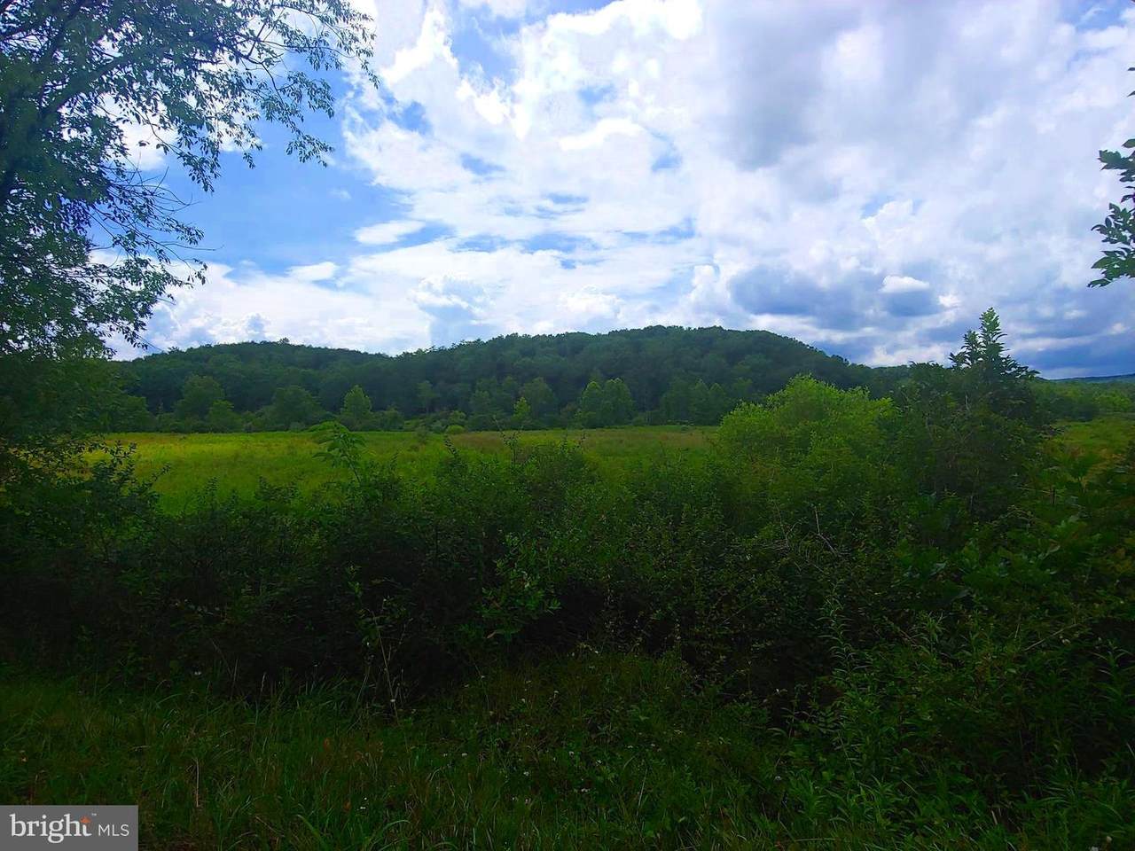 Bear Hill Road - Photo 1