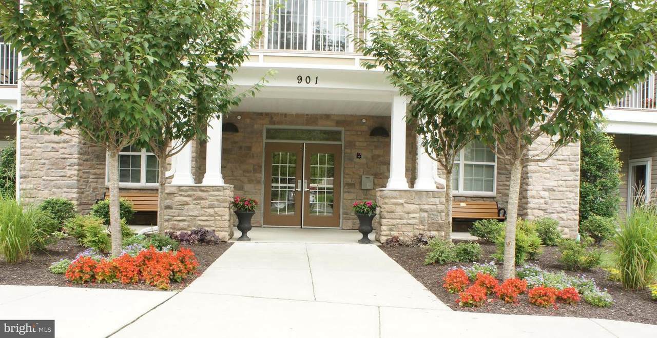 901 Macphail Woods Crossing - Photo 1