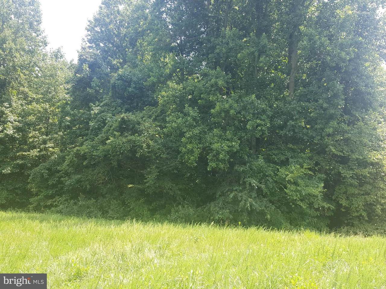 117 Deale Road - Photo 1