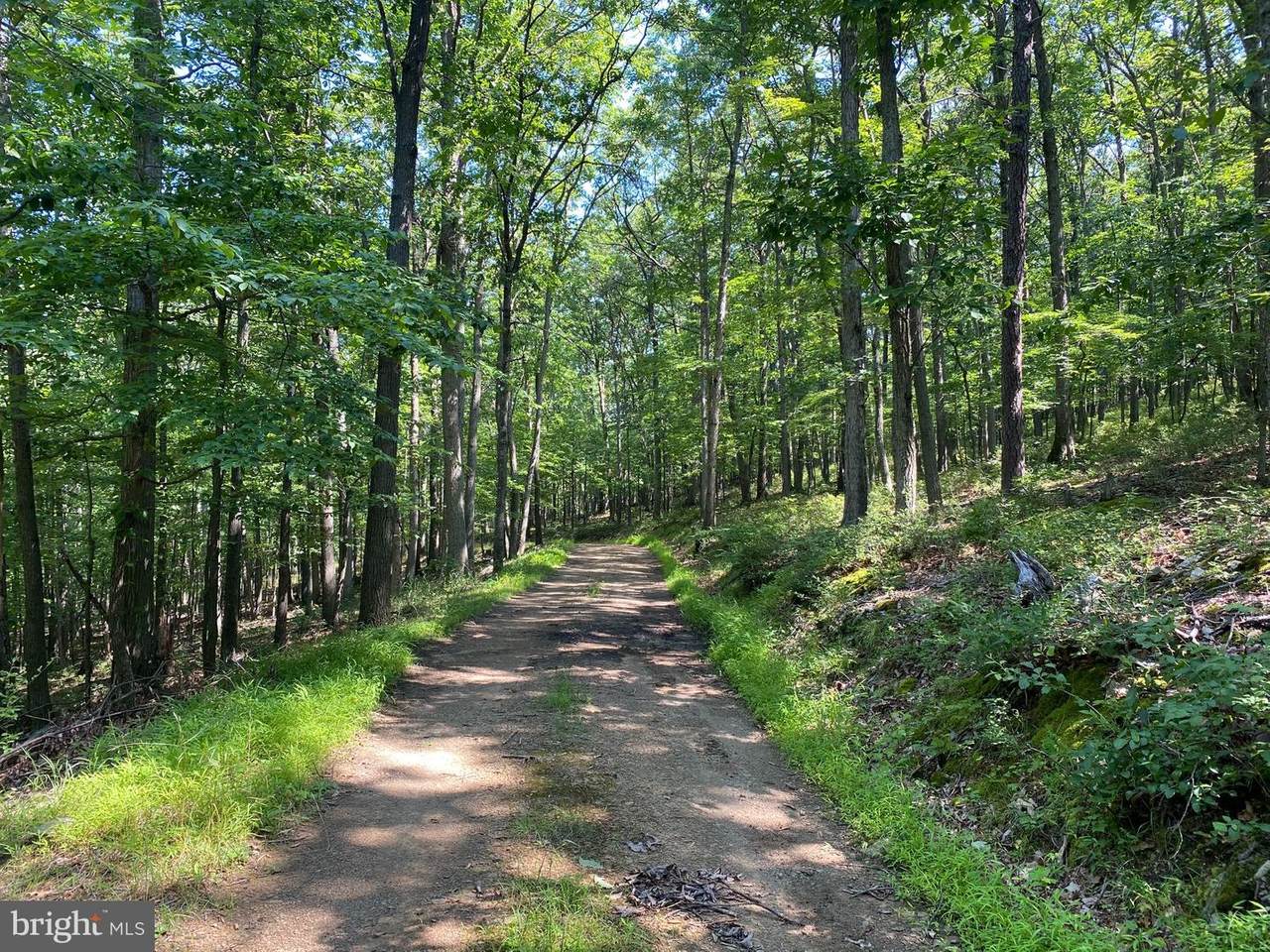 9 & 22 Mount Top Road - Photo 1