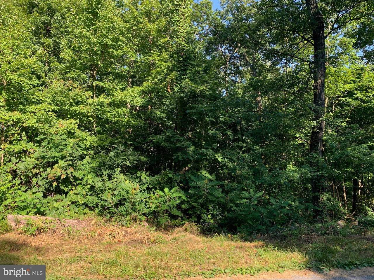 Lot 1 Huron Trail - Photo 1