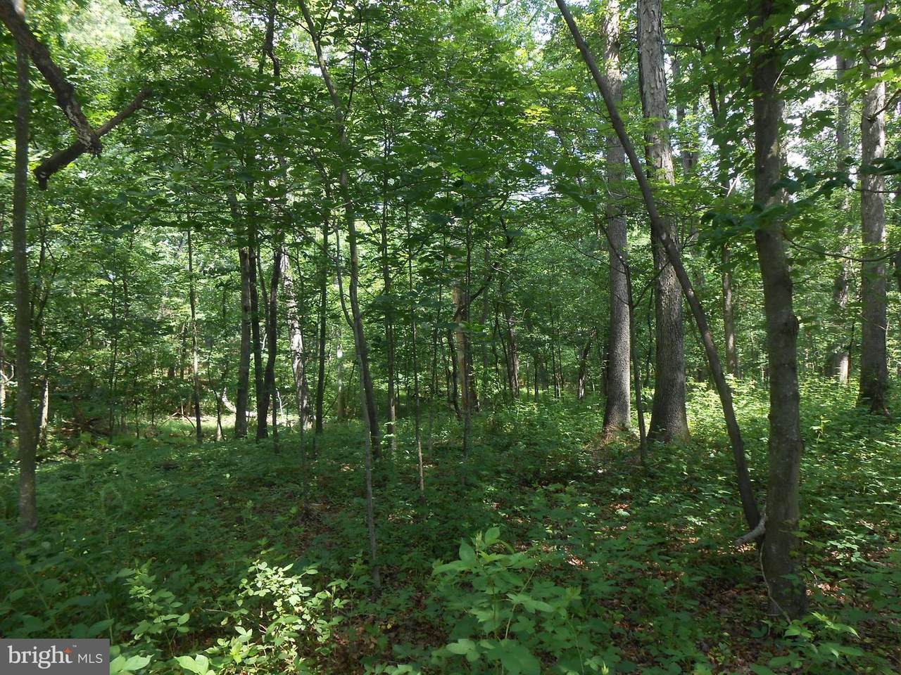 14481 Vint Hill Road - Photo 1