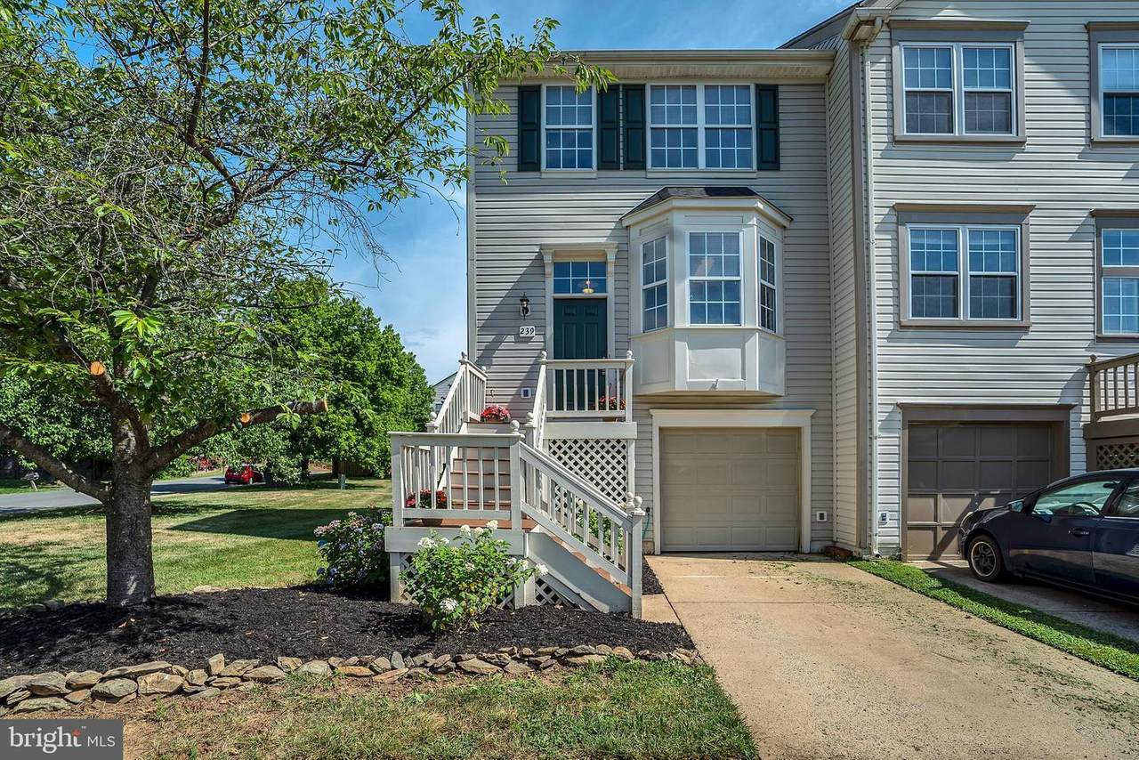 239 Frazer Drive - Photo 1