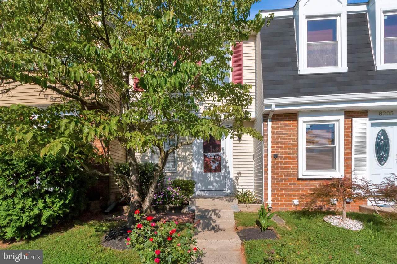 8203 White Stone Lane - Photo 1