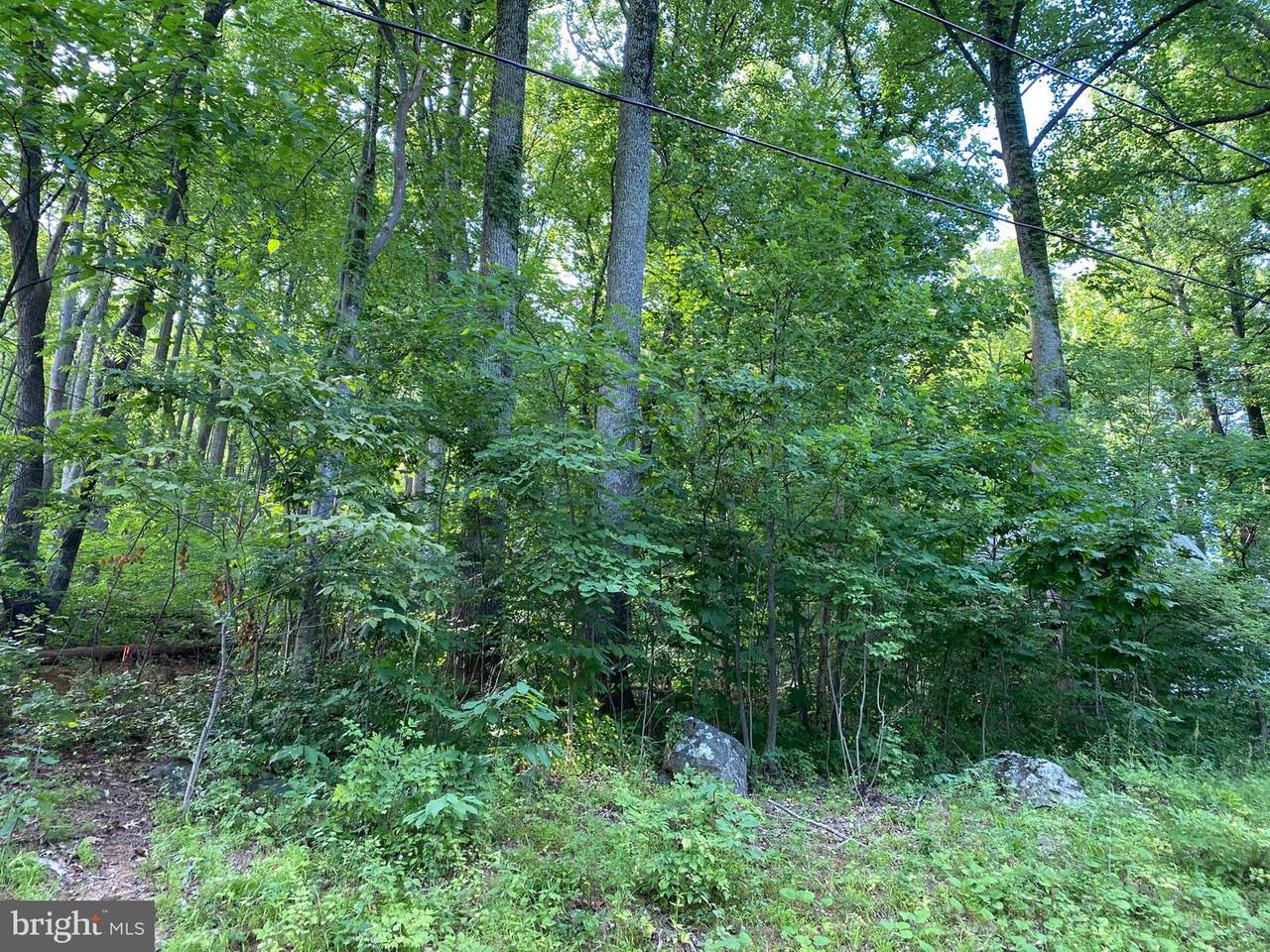 Briar Lane - Photo 1