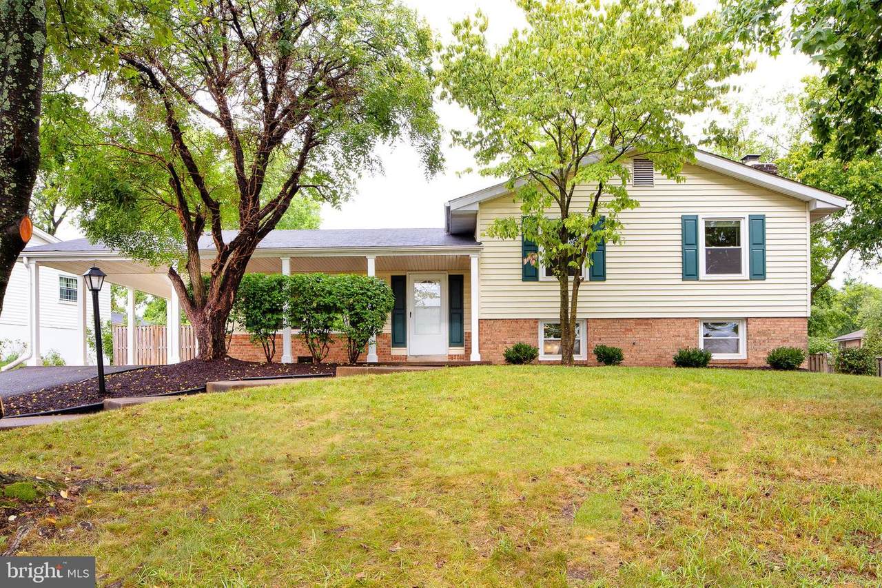 519 Alder Avenue - Photo 1