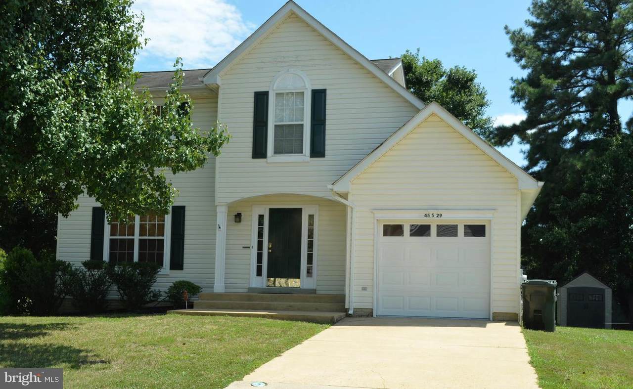 45529 Brawny Street - Photo 1