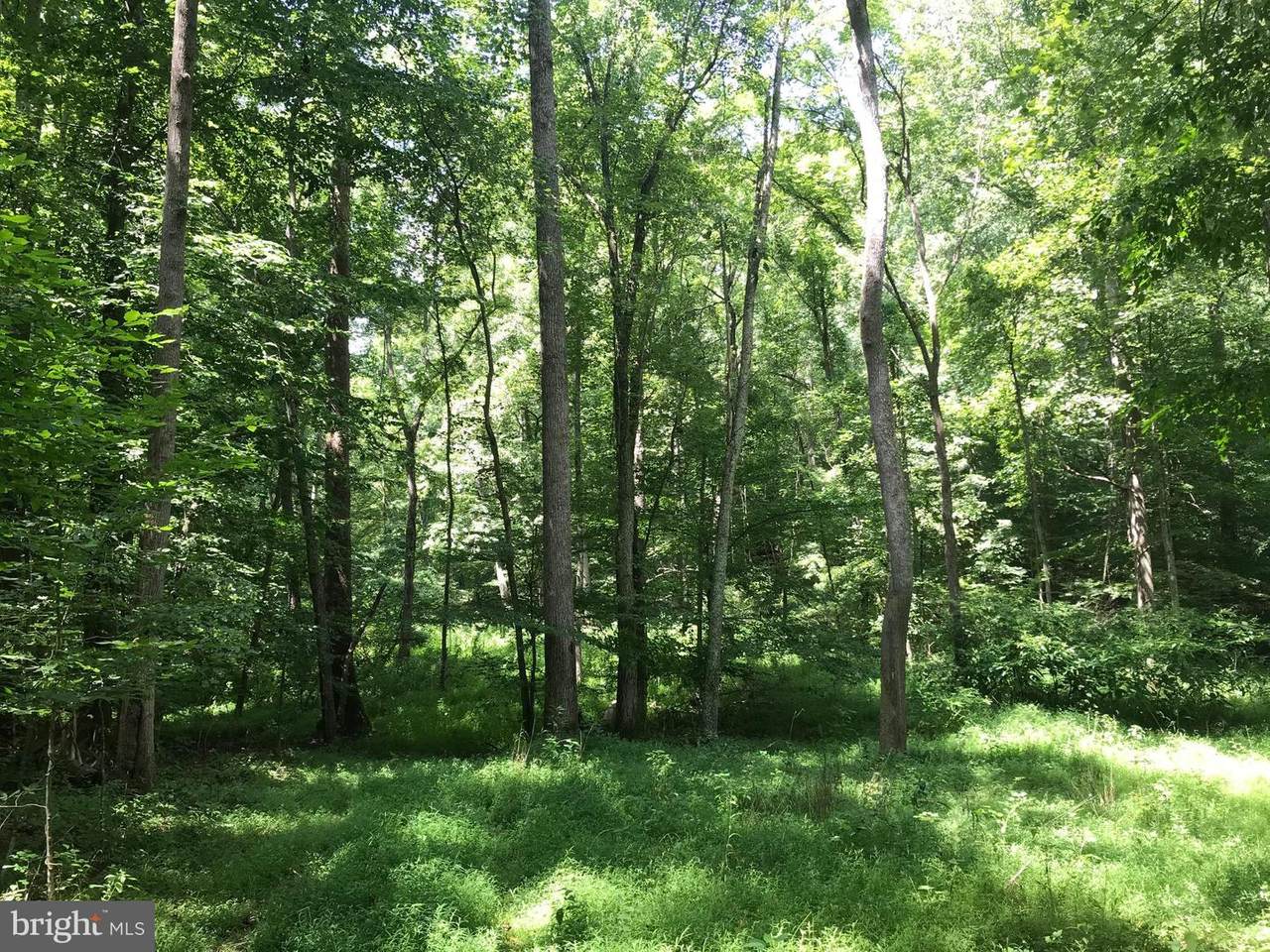 0 Myers Mill Rd - Photo 1