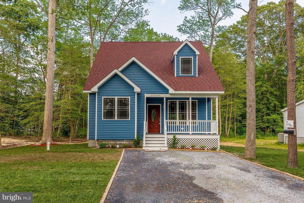 16 Mitchell Avenue - Photo 1