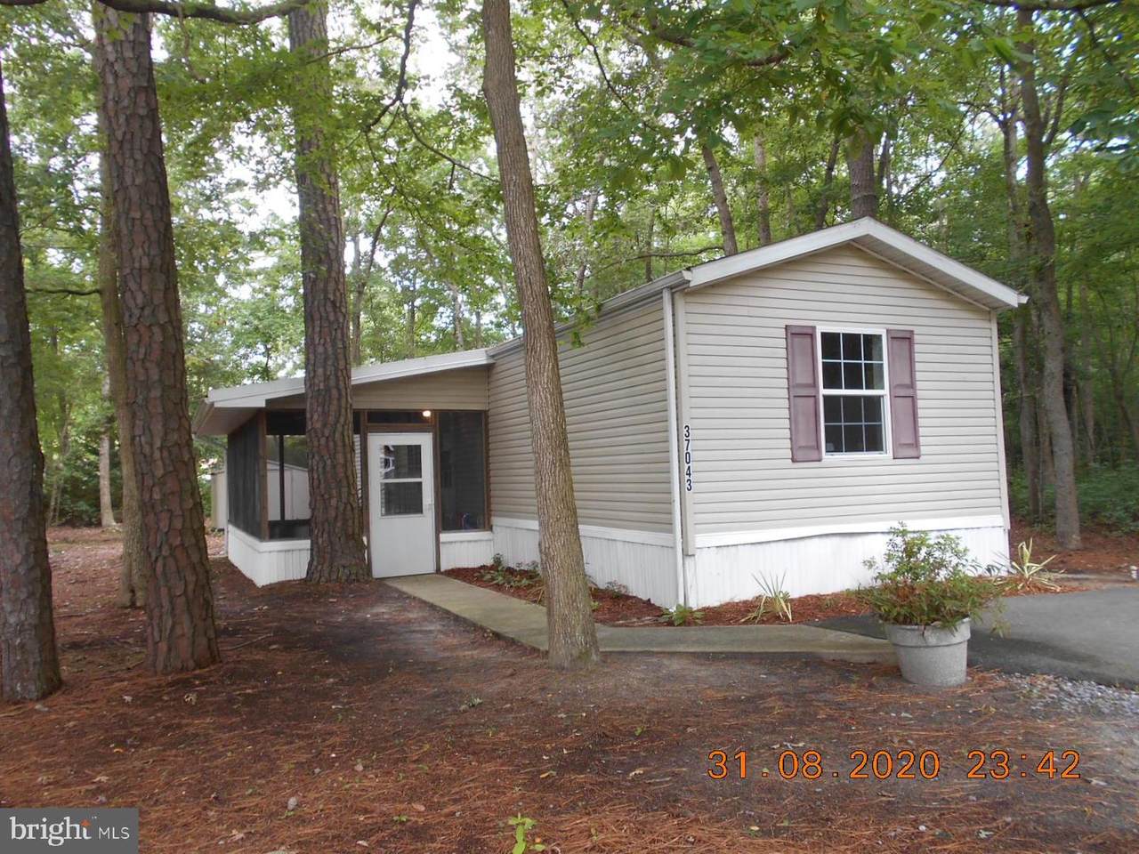 37043 Carolina Drive - Photo 1