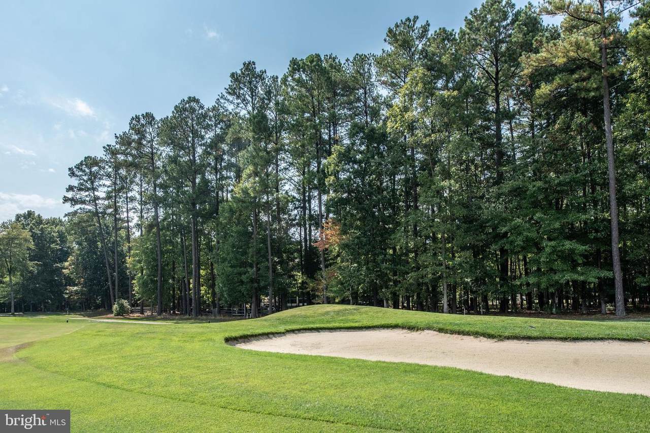 10507 Wildbrooke Court - Photo 1