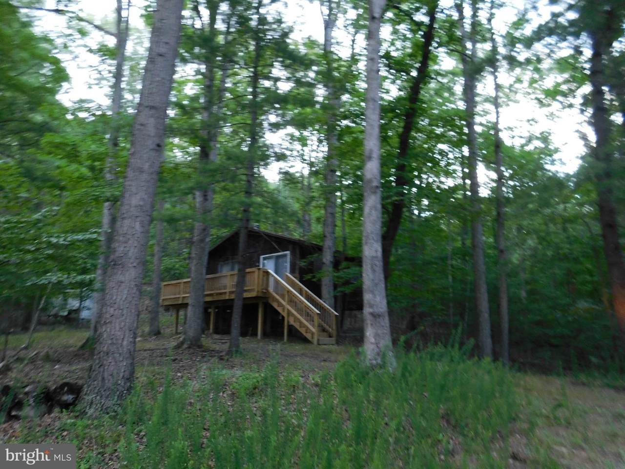 1196 Old Oak Lane - Photo 1