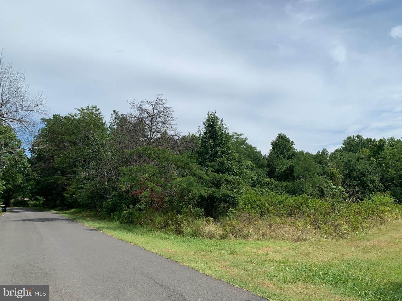 17305 Mine Road - Photo 1