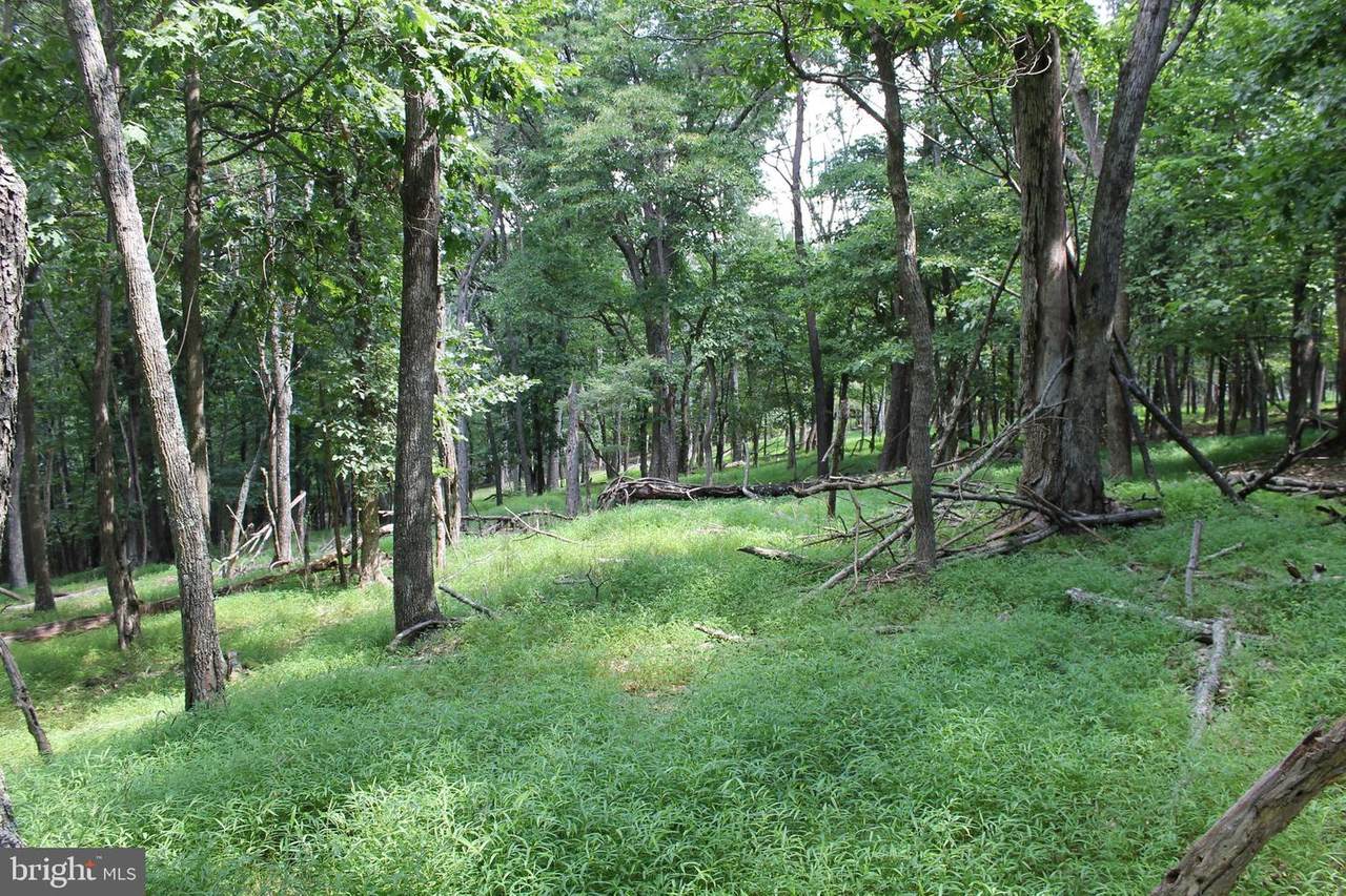 Noland Ridge Road - Photo 1
