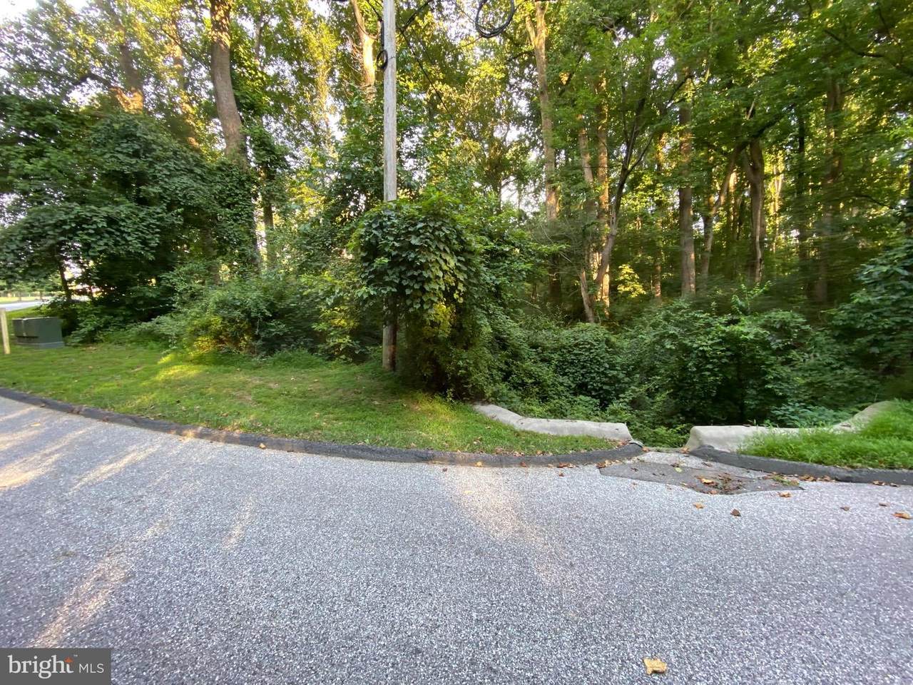 6707 Whitegate Road - Photo 1